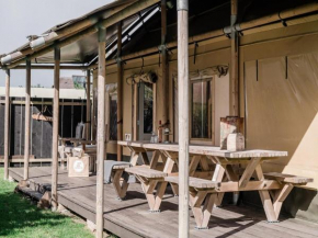 Cozy tent lodge with kitchen